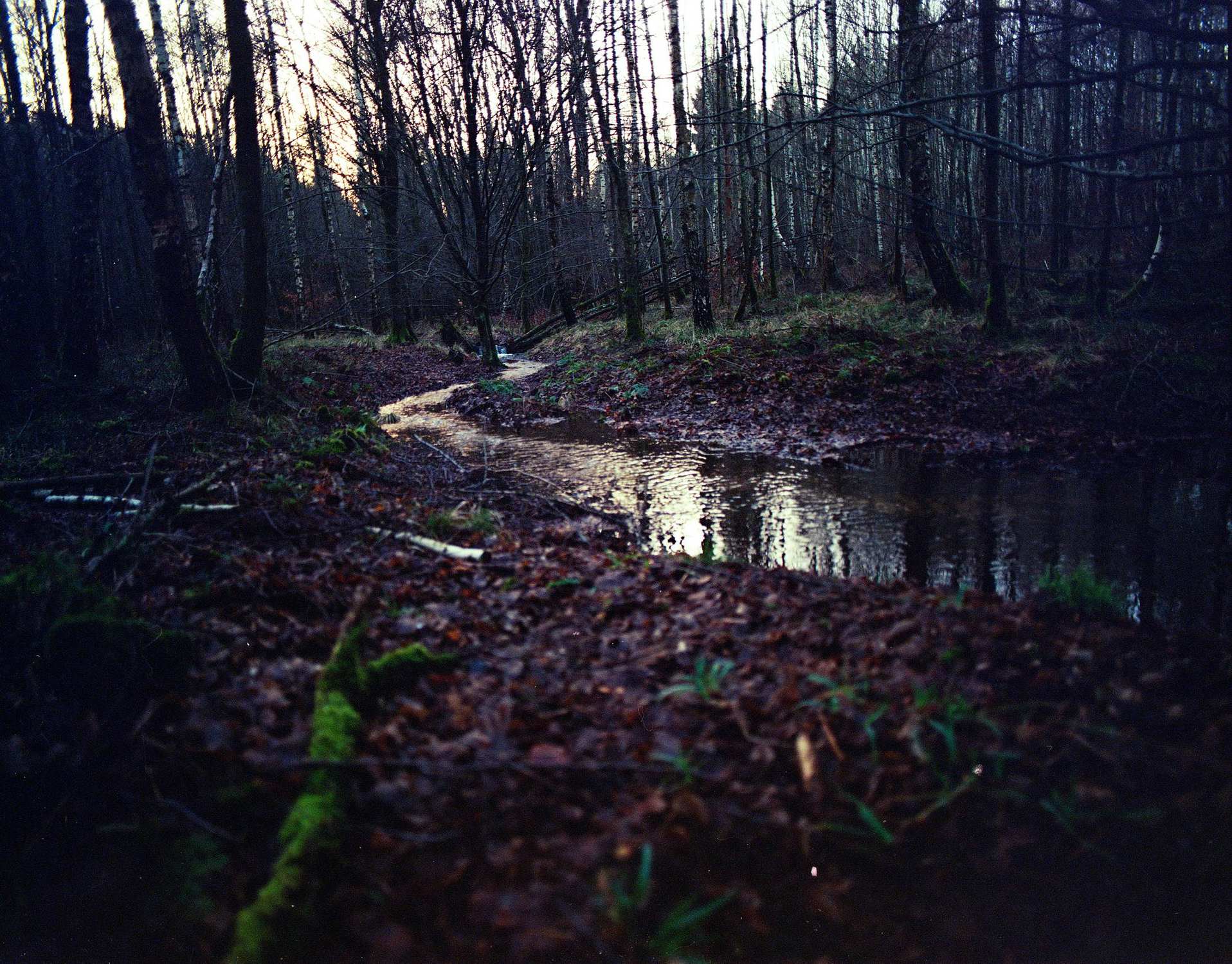 2018 01 18 Pentax 6x7  03